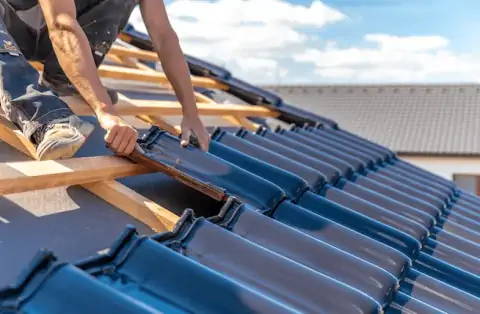 Couverture - Panossas