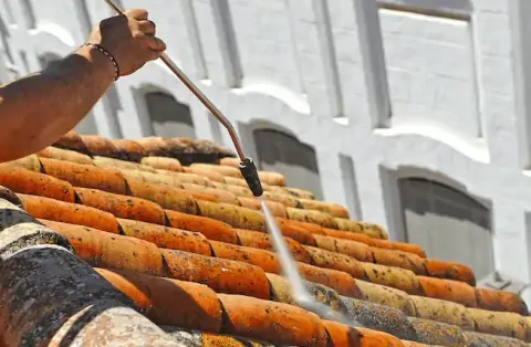 Nettoyage de toitures - Panossas